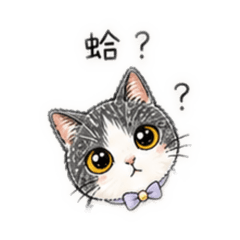 傲嬌的小貓咪