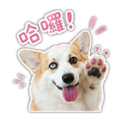 肉系の日常