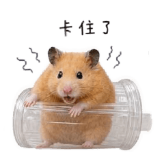 豆奶與麻糬