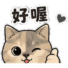球球曼曼