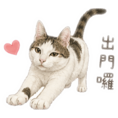 小白不白-日常篇