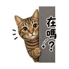 豆花與蕾夢 Doumo