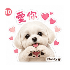 ❤️Money的日常生活❤️
