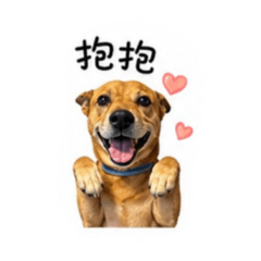 皮皮在幹麻