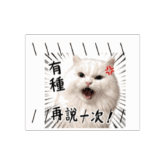 愛嗆人  赫亞