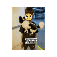 吉娃娃ㄋㄧㄤ