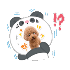 徐阿寶11