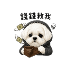 馬爾濟斯Migi&不想上班系列