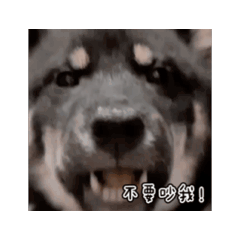 憨吉小臭臭