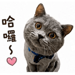 Tanji's daily life stickers2