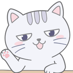 Shiretto Cat: Daily Life