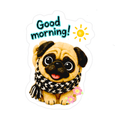 Brutus Girl Pug