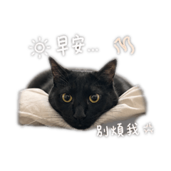 嚕嚕1.5