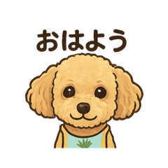 KONA_20260515140759