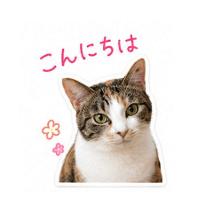 yukkin.com_20260518124405