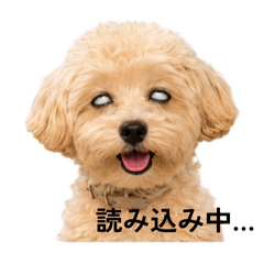 mari_20260515141920