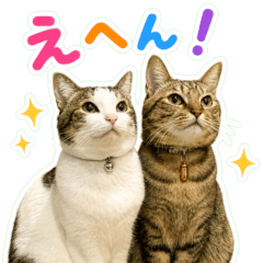THE CUTE CATS (NIHIKI ver)