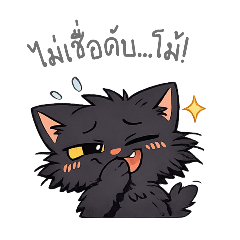 Chaotic Black Cat