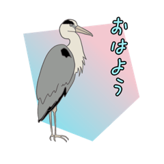 Yaguruma_20260519125333