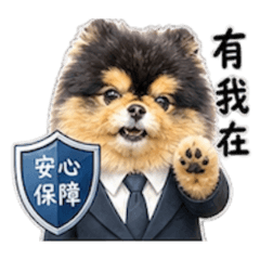 小豆豆寶