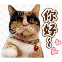 玥玥的問候
