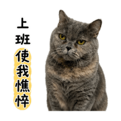 Juli上班厭世系列