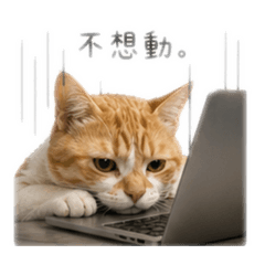 RuWei_20260502205614