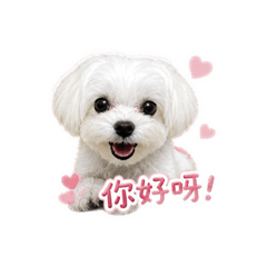 迷你波比小日常-正常篇