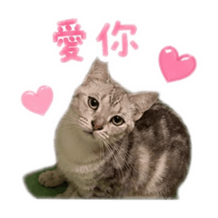 噗嚕叭嚕