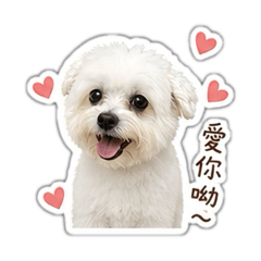 酷比小可愛 part 2