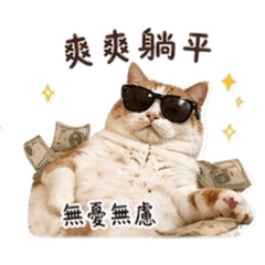 麥朵的日常慵懶