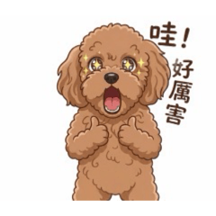小呆的物語