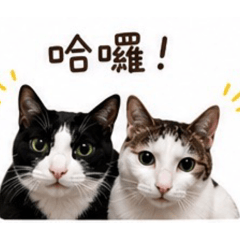 點罐3