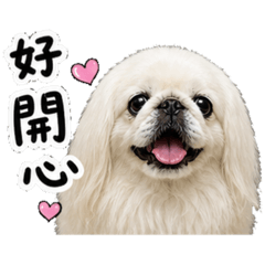 Ai寫實龍哥