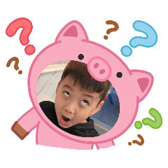 展哥表情包