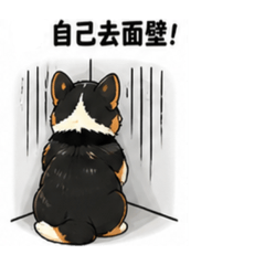 LUMI與拔拔