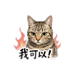 胖多的貼心問候