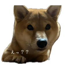 m_20260515145851