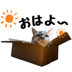 Kanata_20260516200012