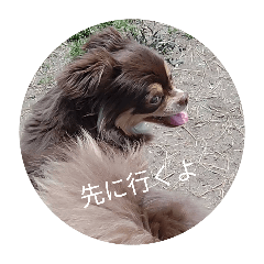 hideki_20260515145730