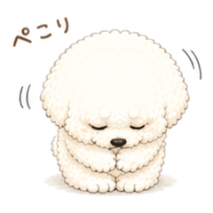 shuka_20260515150019