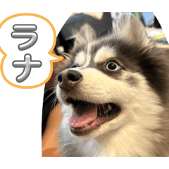 japan_20260515145440