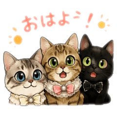 ami_20260516003535