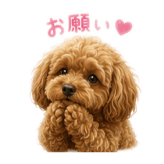 miya_20260515150918