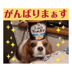 KURU_20260519140923