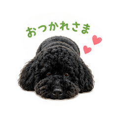 mametakun01