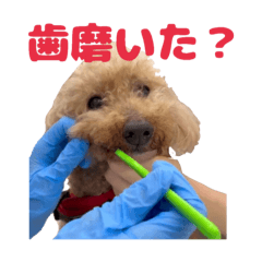 Okayu_20260515153657