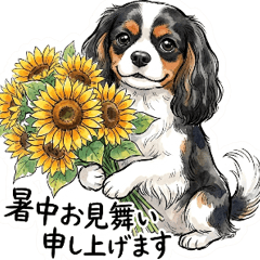 Cavalier (Tri) Rainy Season & Summer