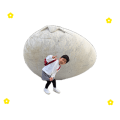 non_20260505130030