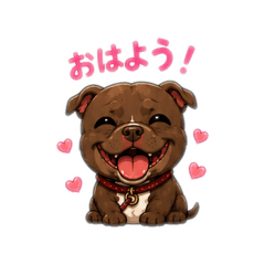smile_20260515161203
